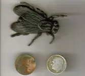 fly 001 (2).webp