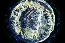 coin 020 (Medium).webp