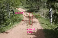 driveway.webp