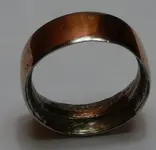 ring 001.webp