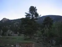Behind Cabin.webp