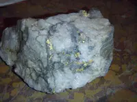 archives 1168.webp