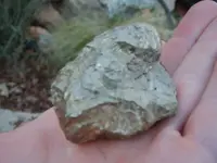 pyrite.webp