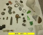 0128NUT1.webp