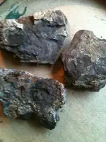 image-3229000253.webp
