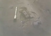 three quarter groove axe in-situ.webp
