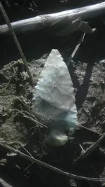 IMAG3839.webp