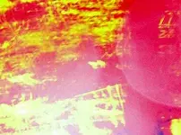 backyard strange hit area 5B-johnu33301.webp
