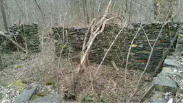 image-1364556136.webp