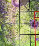 Aster_LAD_Alter_Zones_6.webp