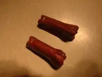 Bison bones 001.webp