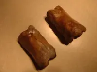 Bison bones 003.webp