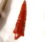 DSCF0003 cropped.jpg 2.webp