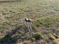 20130303_162402.webp