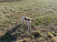 20130303_162352.webp
