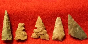 IMG_7608 (1024x508).webp