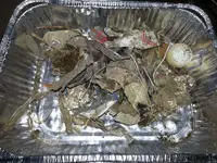 20130303_181450.webp