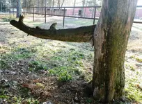 IMGP9723.webp
