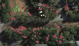 tnet-fenixdigger.webp