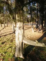 IMGP9726.webp