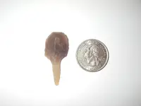 IMGP0011.webp