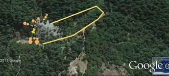 Gold Mine-Reed Lukenscrop.webp