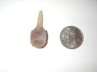 IMGP0012.webp
