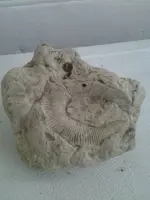 2013-03-08 15.24.41.webp