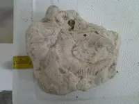 2013-03-08 15.25.13.webp