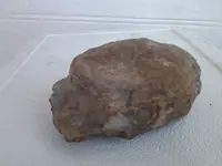 2013-02-26 15.47.14.webp