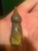 phallus funde 662.webp phallus funde 662.webp