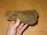 426586_10150607115063890_754544499_n.webp