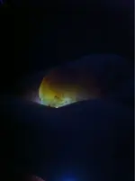image-1680020602.webp
