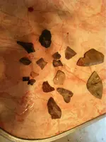 image-2211971959.webp