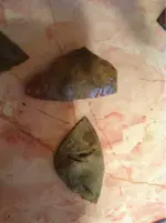 image-1803871036.webp