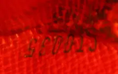 IMG_3050.webp