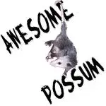 0A0p8[1].webp
