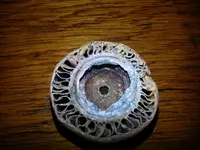 20130210_084019.webp