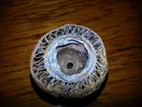 20130210_084049.webp