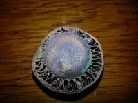 20130210_084718.webp