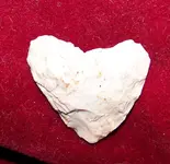 100_4175.webp