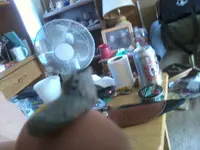 Photo0876.webp