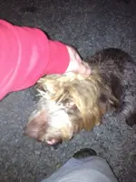 image-2878951294.webp