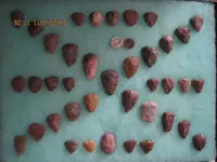 IMG_4358.webp