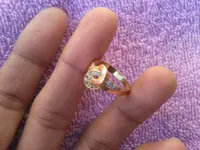 20130204_170236.webp