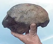 yy coal skull 2.webp