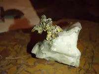 rock.webp