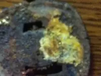 image-1185207007.webp