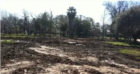 mud hunt.webp