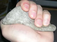 DSCN7644.webp